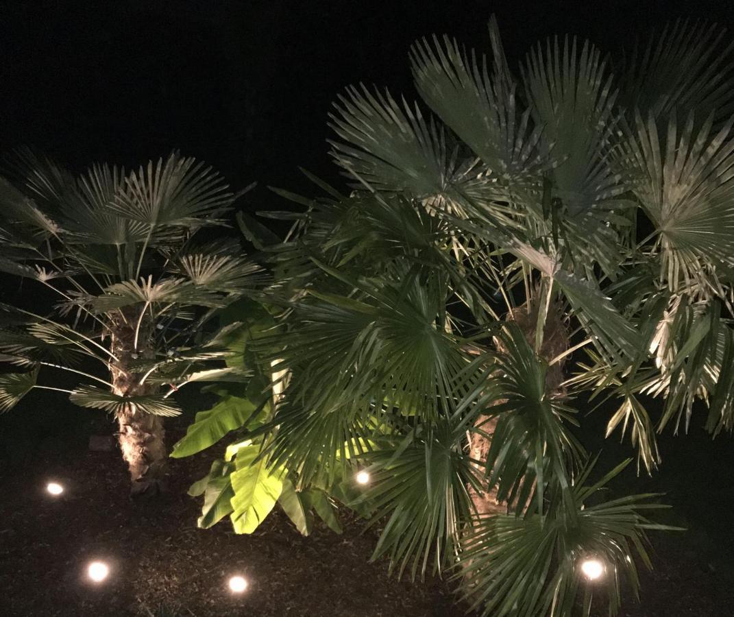 Ferienwohnung Palmengarten Lichtenstein  Dış mekan fotoğraf