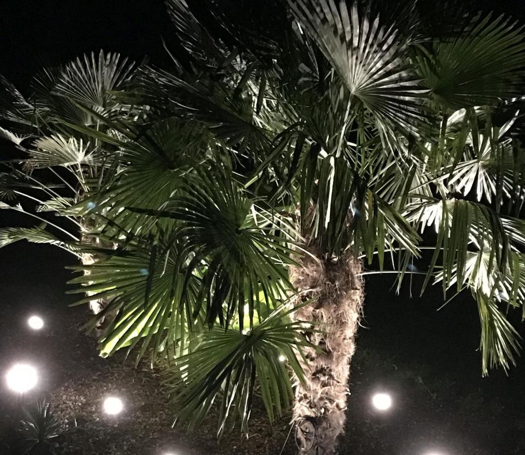 Ferienwohnung Palmengarten Lichtenstein  Dış mekan fotoğraf
