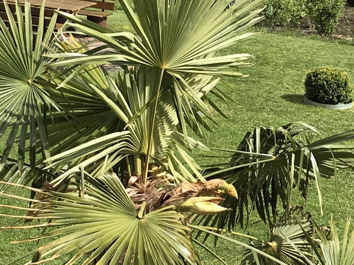 Ferienwohnung Palmengarten Lichtenstein  Dış mekan fotoğraf