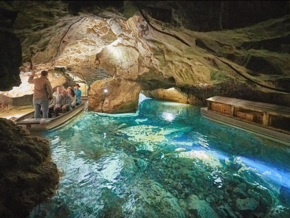 Ferienwohnung Palmengarten Lichtenstein  Dış mekan fotoğraf