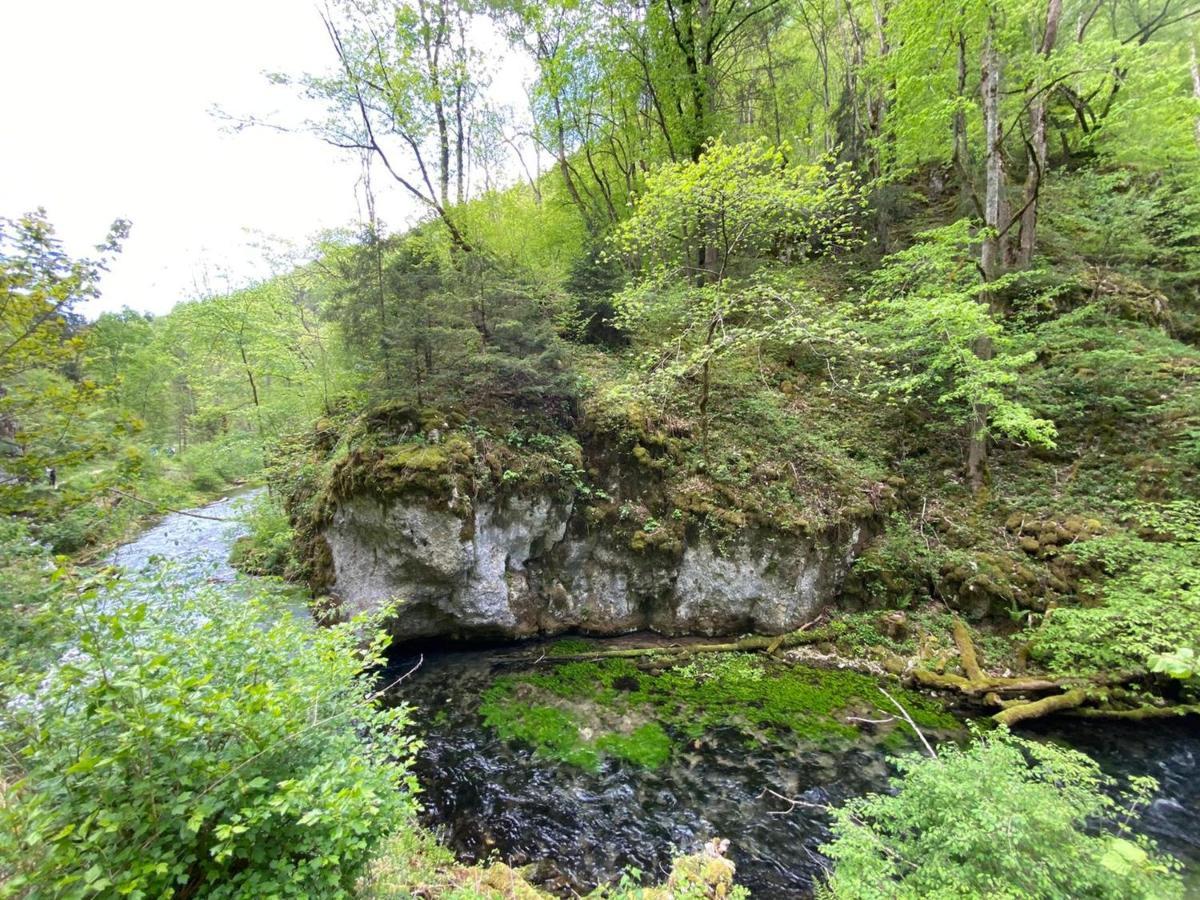 Ferienwohnung Palmengarten Lichtenstein  Dış mekan fotoğraf